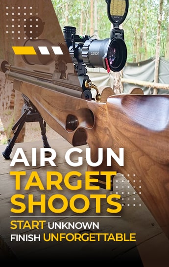 Air Gun Target Shoot